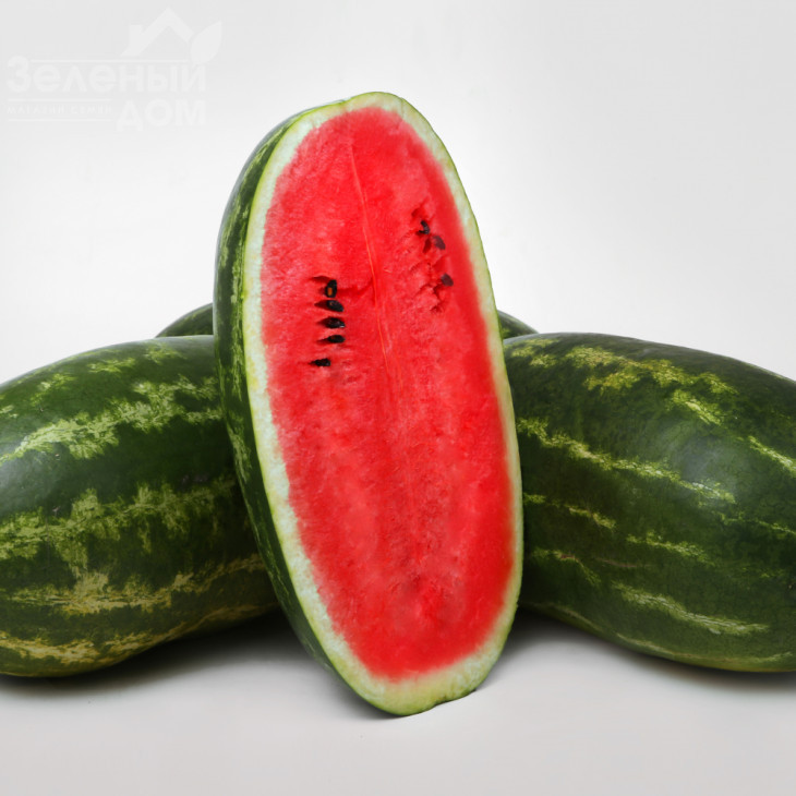 Леон (LS 1815) F1 / Leon (LS 1815) F1,58-60 днів фото 1