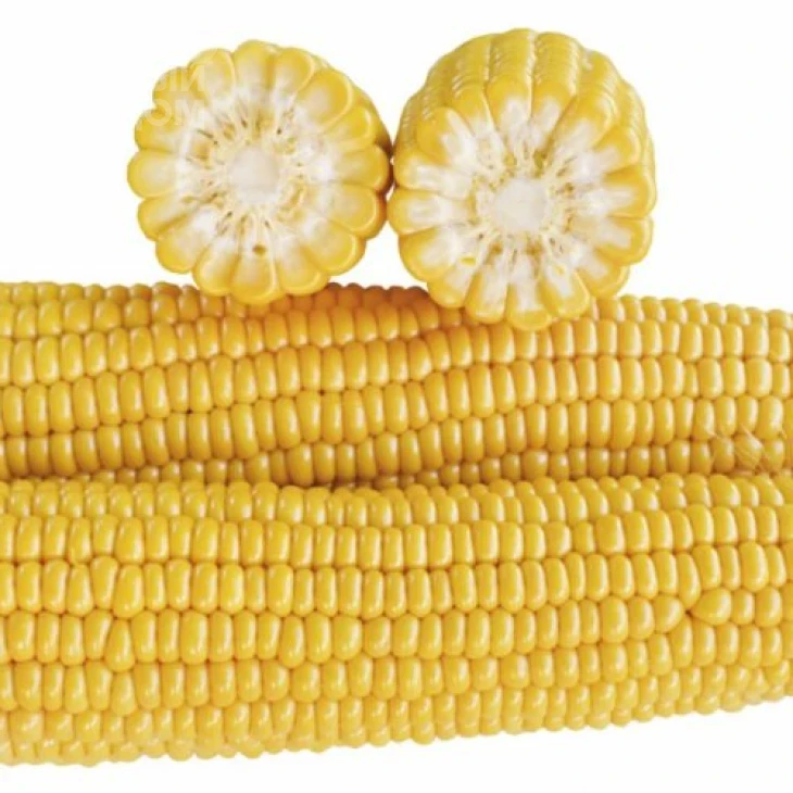 1707 F1 / 1707 F1,71 дней фото 1