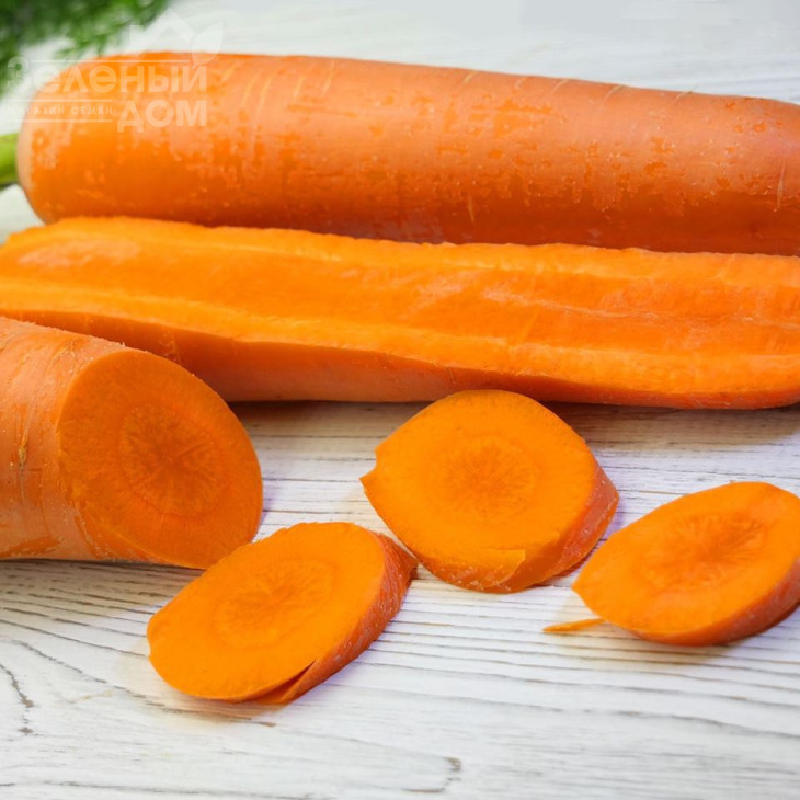 Тітан F1 / Titan F1,90 днів фото 4