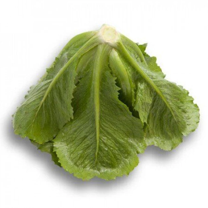 Крунчита / Crunchita фото 1