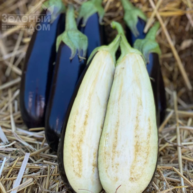 Брат F1 / Brat F1 фото 2