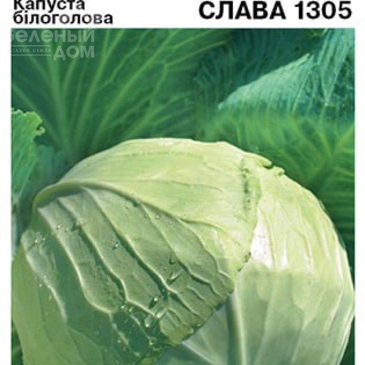 Слава / Slava фото 2