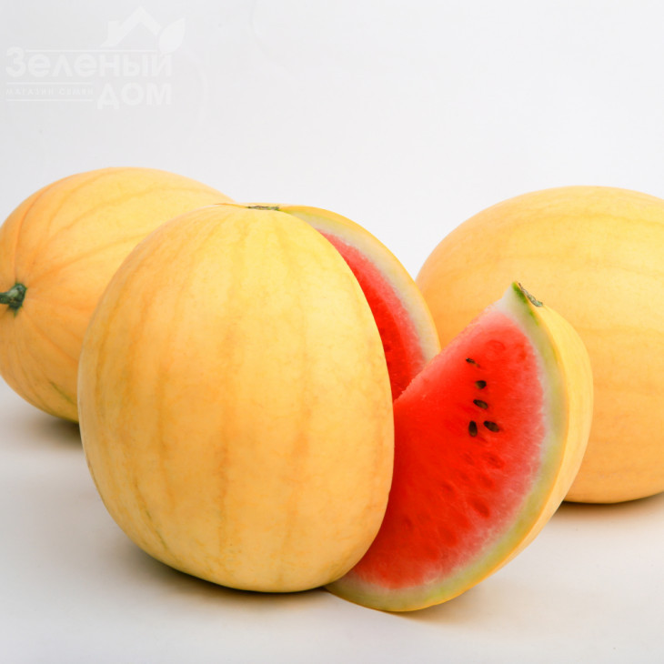 Золотий Вогник F1 (LS 1820) / Zolotoy Ogonjok F1  (LS 1820), 58-62 дні фото 1