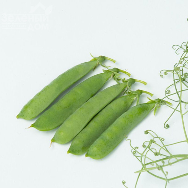 Ідальго / Idalgo фото 1