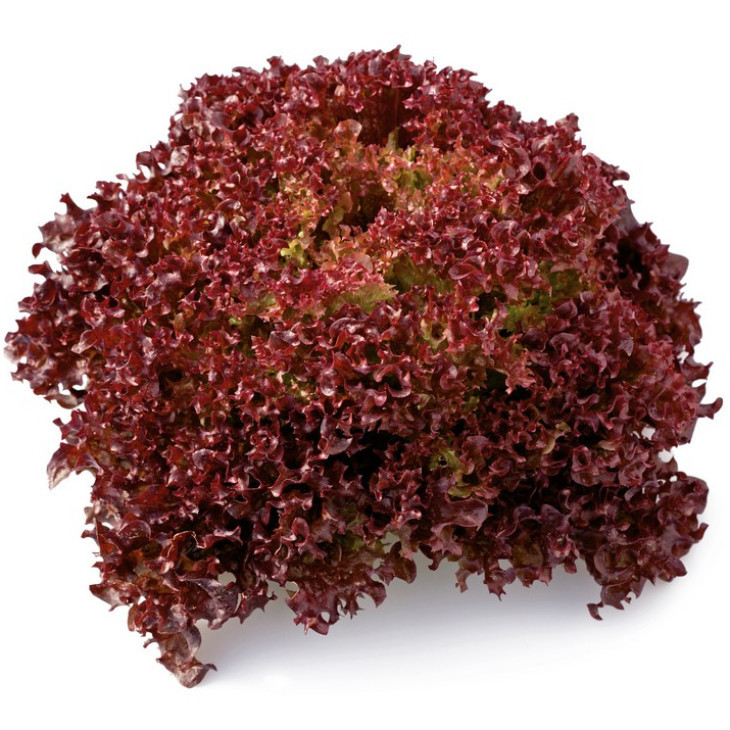 Кармеcі / Carmesi фото 1