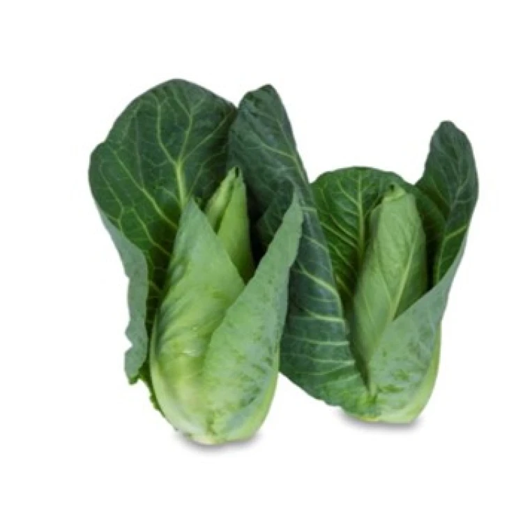 Кейп Рока F1 / Keyp Roka F1,60-75 дней фото 1