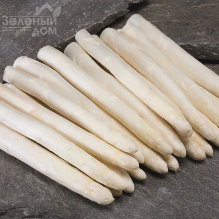 Кумулюс F1 / Cumulus F1 фото 1