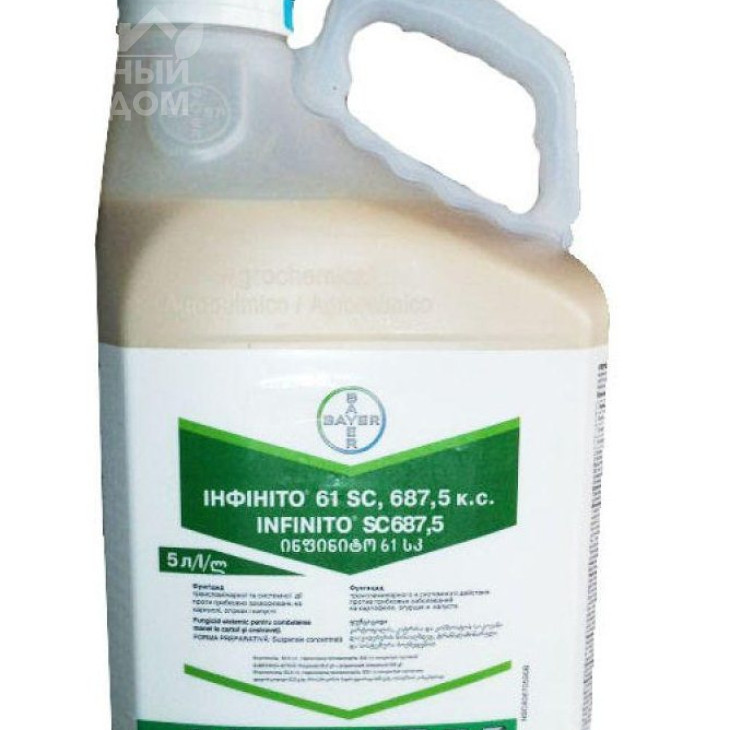 Інфініто / Infinito, SC 687,5 к.с. фото 1