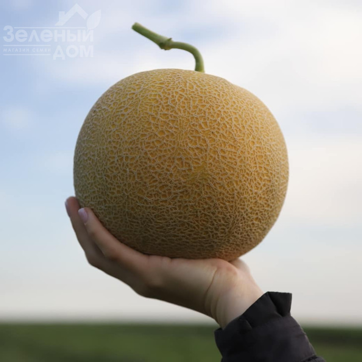 КС 810 F1 / KS 810 F1 фото 1