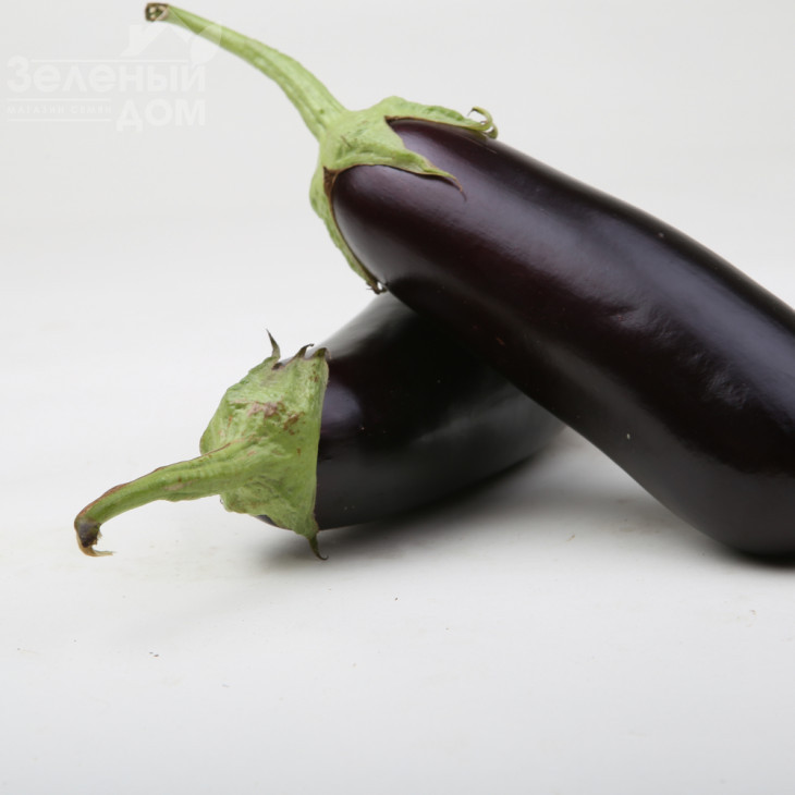 Моріс F1 (LS 1322) / Moris F1 (LS 1322),83-87 днів фото 1