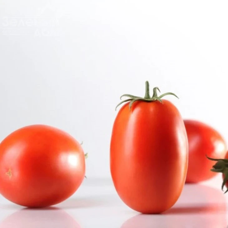 Куско F1 / Kusko F1, 72-78 дней фото 1