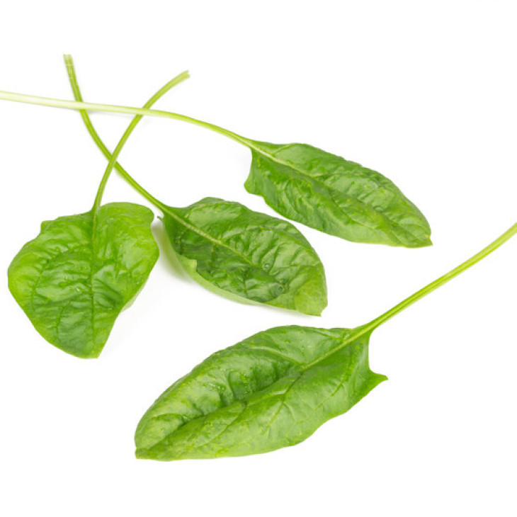 Блобфіш F1 / Blobfish F1 фото 3