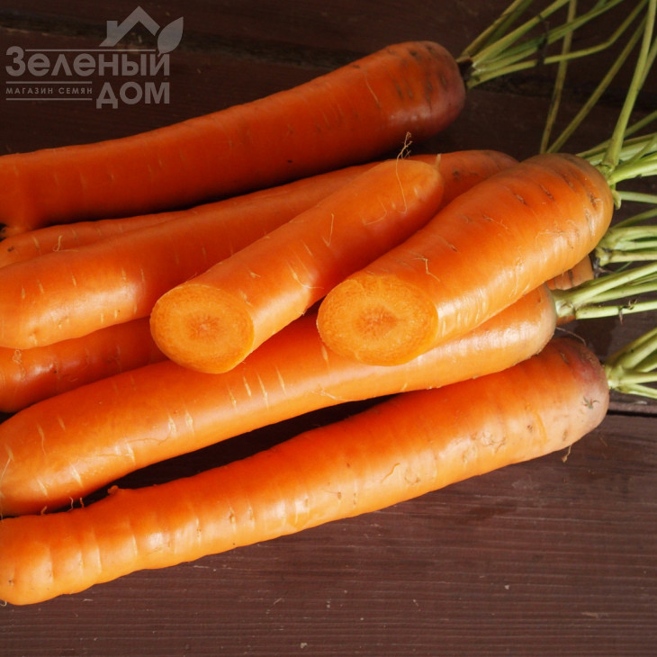 Беркос F1 / Berkos F1,120-125 днів фото 1