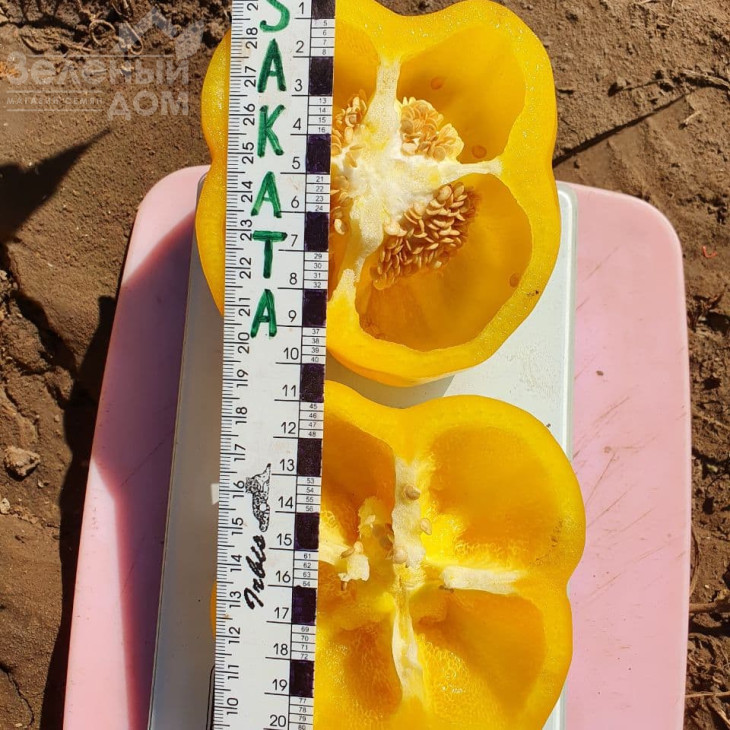 Еспартано F1 / Espartano F1 фото 3