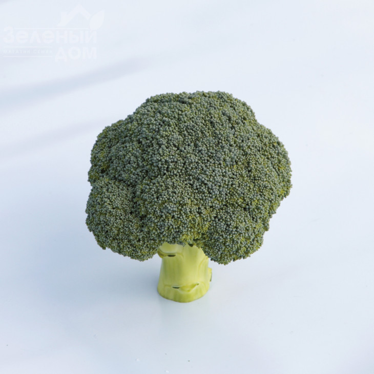 Бесті F1 / Besty F1,55-60 днів фото 1