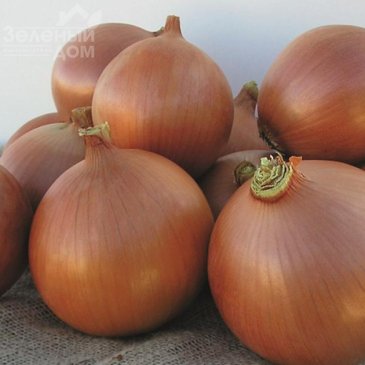 Бріджер F1 / Bridger F1, 270-280 днів фото 1