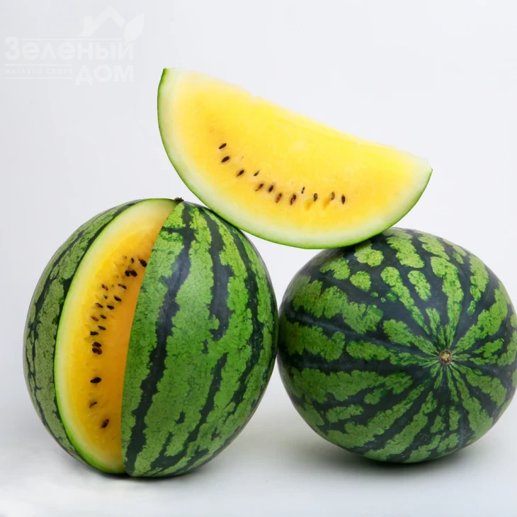 Покемон (LS 1809) F1 / Pokemon (LS 1809) F1 фото 1