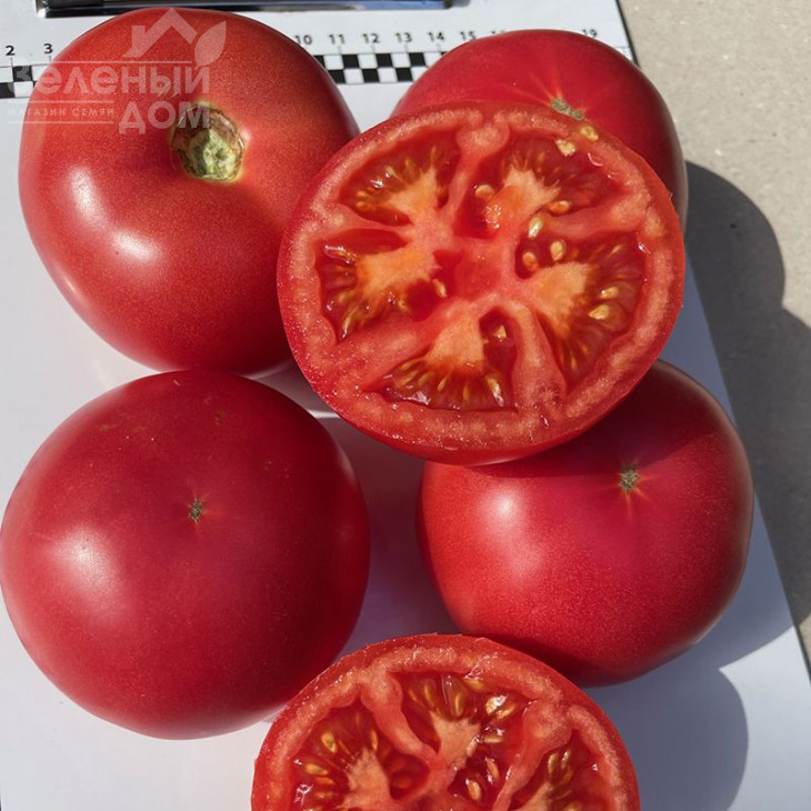 Фаєр F1 / Fire F1,95 днів фото 5