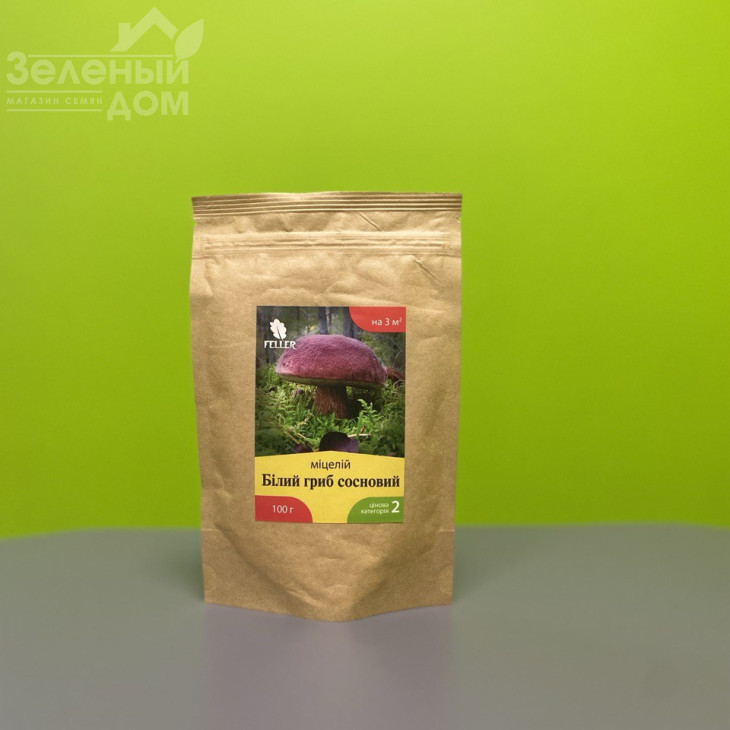 Білий гриб сосновий фото 1