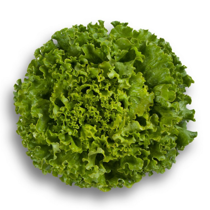 Патішн / Partition фото 1