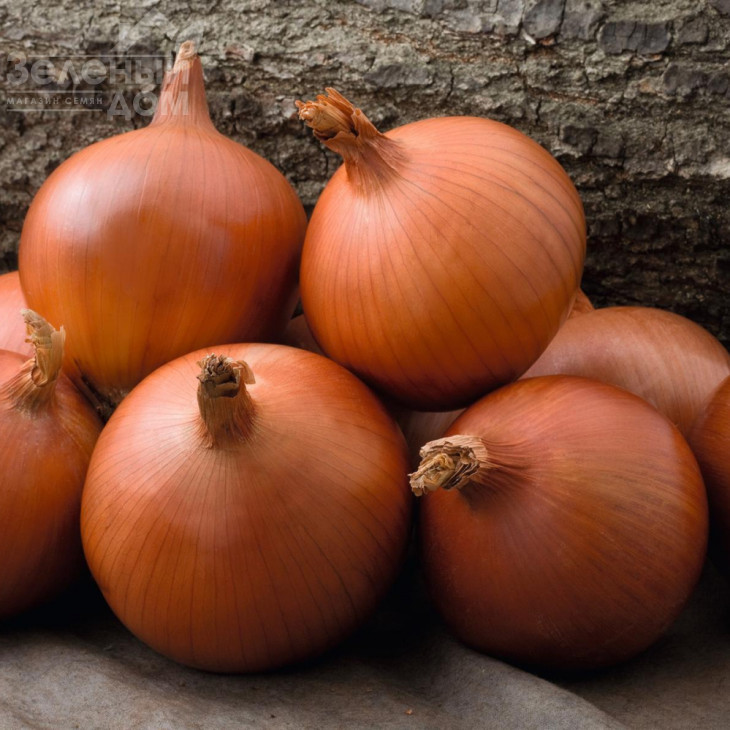 Меллорі F1 / Mallory F1,114 днів фото 1