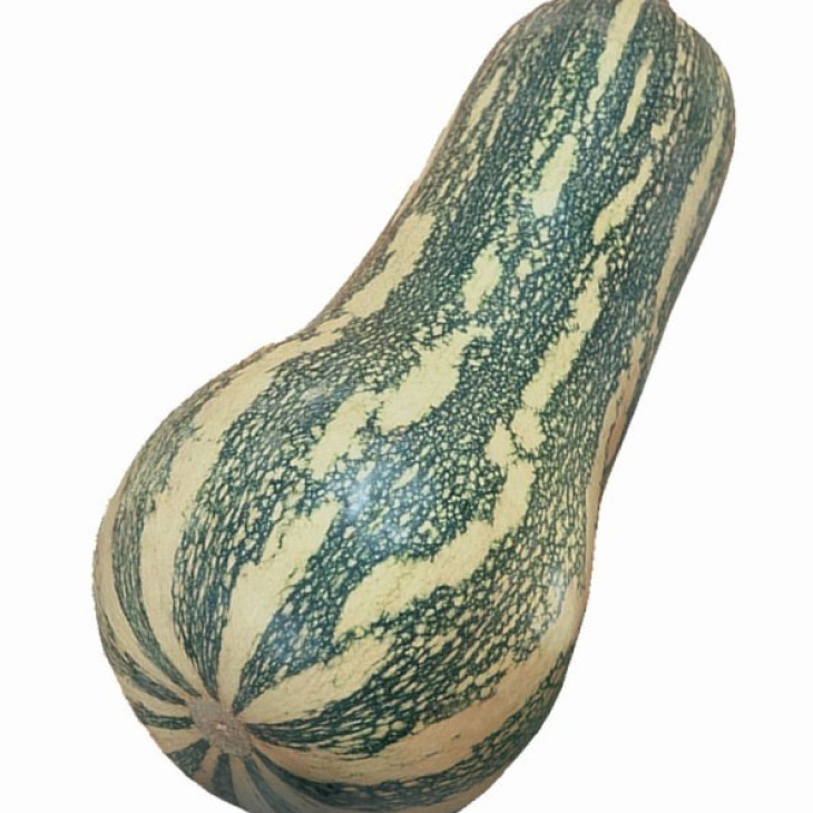 Барбара F1 / Barbara F1, 45 днів фото 1