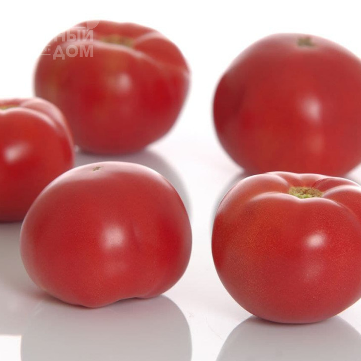 Пінк Мун F1 / Pink Moon F1 фото 2