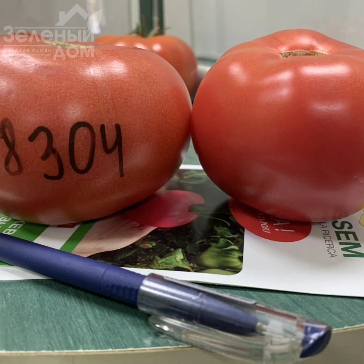 Розетт (ТЛ 18304) F1 / Rosett (TL 18304) F1 фото 1