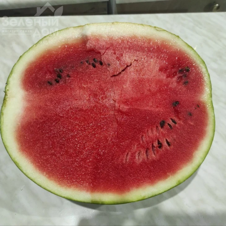 Харизма F1 / Kharizma F1 фото 2