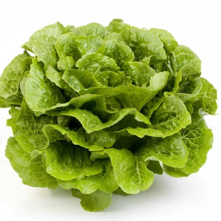 Октавиус / Octavius фото 1