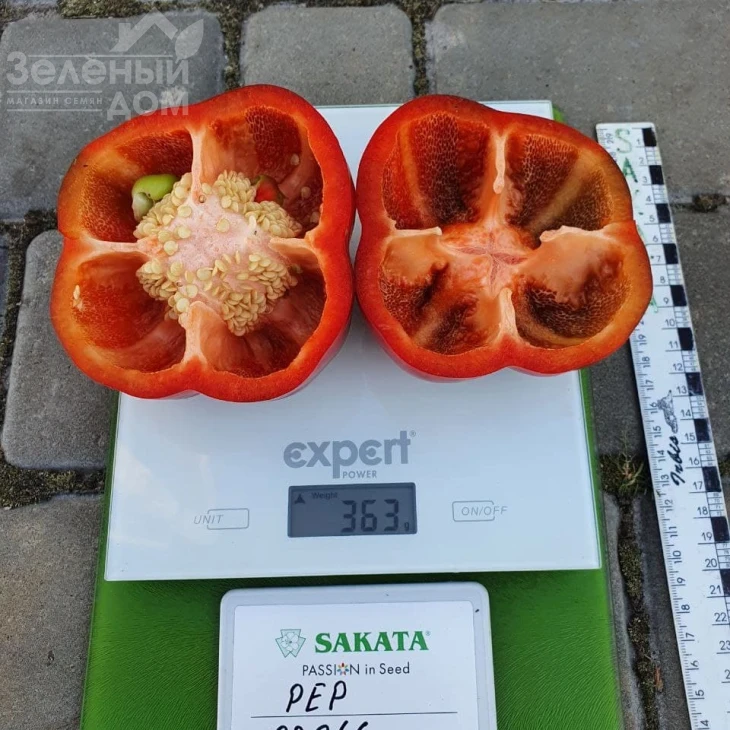 Халк F1 / Halk F1 фото 3