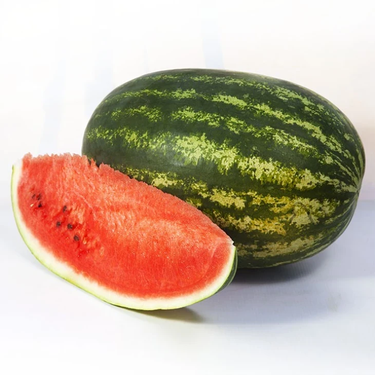 Шейні F1 / Sheyni F1,80-85 днів фото 1