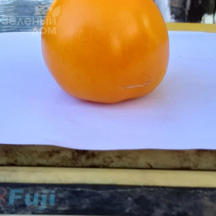 Гоби F1 / Gobi F1, 65-70 дней фото 2