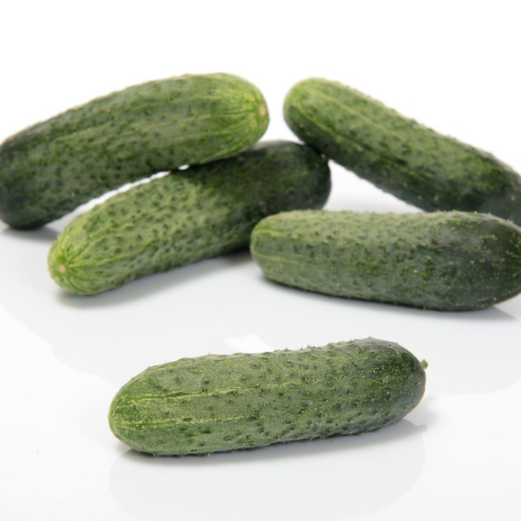 Теслін F1 / Teslin F1, 30-35 днів фото 1