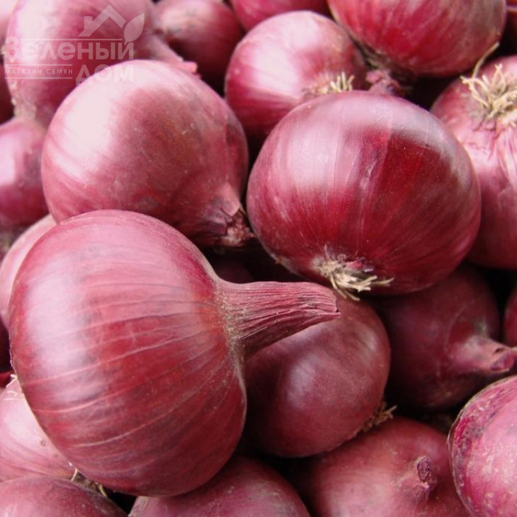 Кармен / Karmen,120 днів фото 1