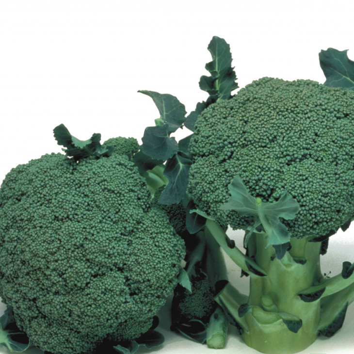 Маратон F1 / Marathon F1,75-80 днів фото 1