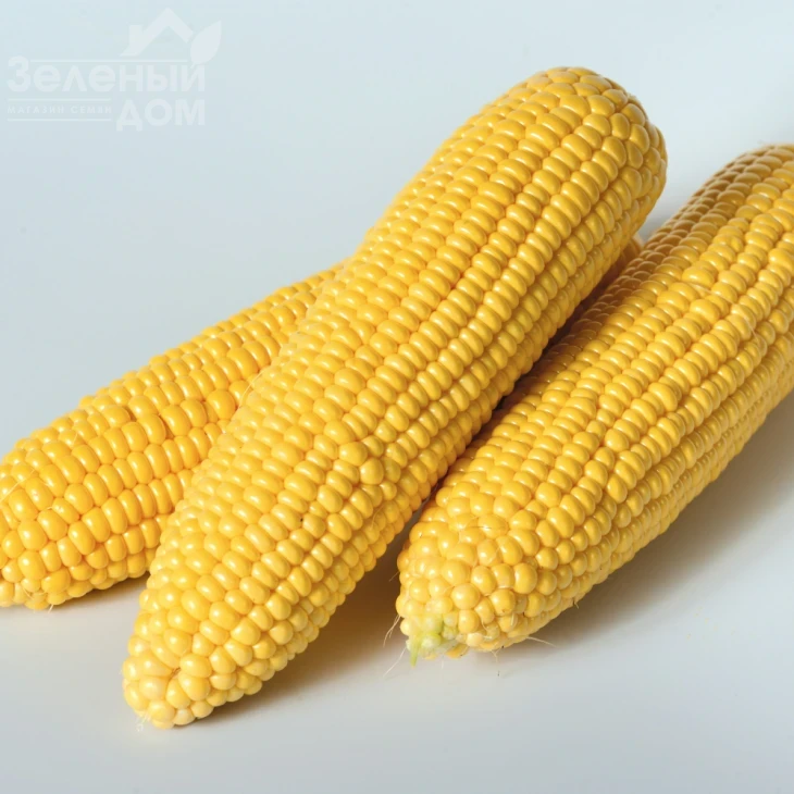 Оверленд  F1 / Overland F1,83 дня фото 2