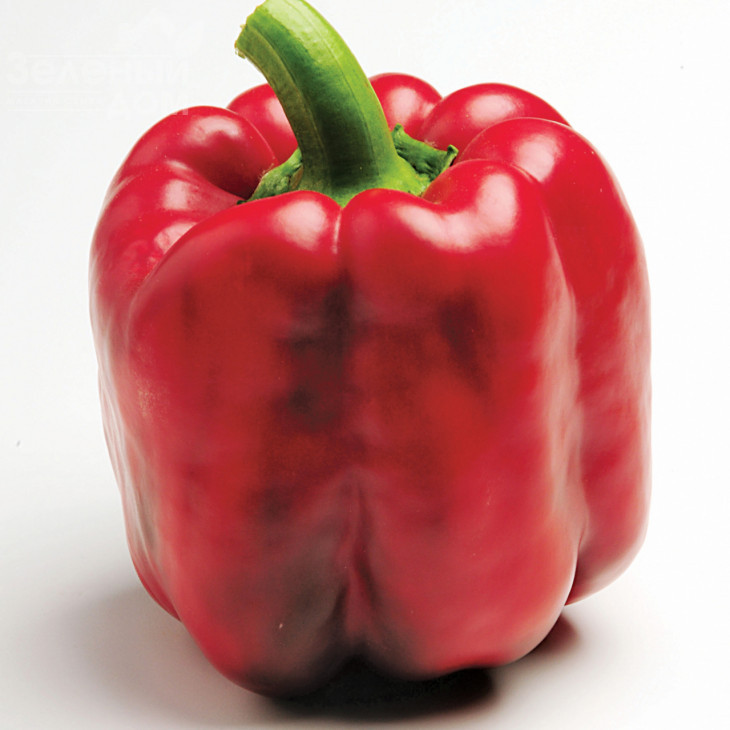 Крузадер F1 / Cruzader F1,65 днів фото 1