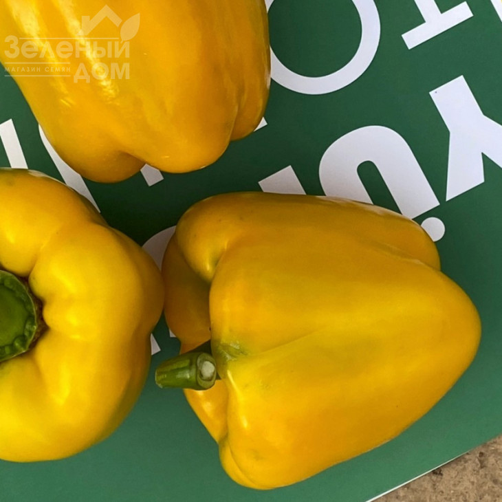 Деніз F1 / Deniz F1,68-72 днів фото 2