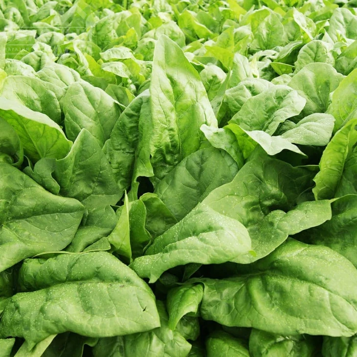 ПВ 1026 F1 / PV 1026 F1 фото 1