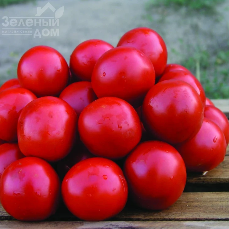 Солероссо F1 / Solerosso F1,90-95 дней фото 1