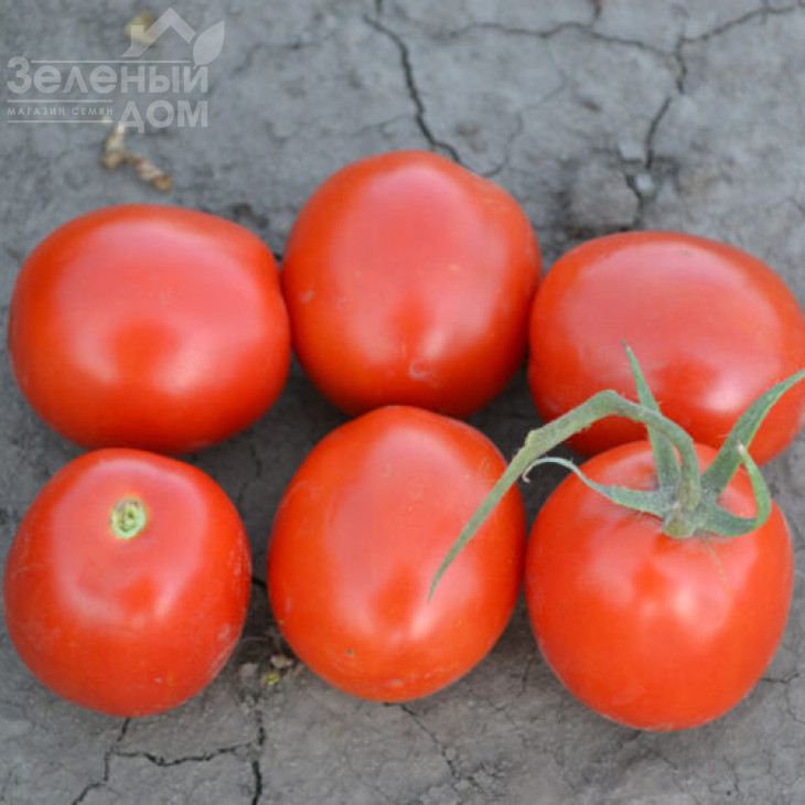 Грандо F1 / Grando F1,95 днів фото 1