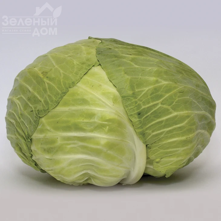 Джекпот F1 / Jackpot F1, 75-85 дней фото 1