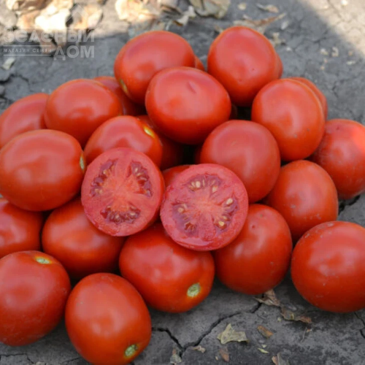 2206 F1 / 2206 F1,85 дней фото 1