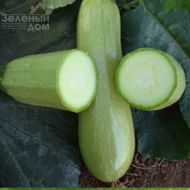 Эзра F1 / Ezra F1,45 дней фото 2