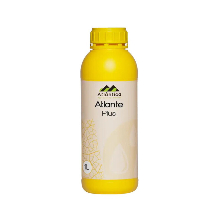 Атланте Плюс / Atlante Plus фото 1