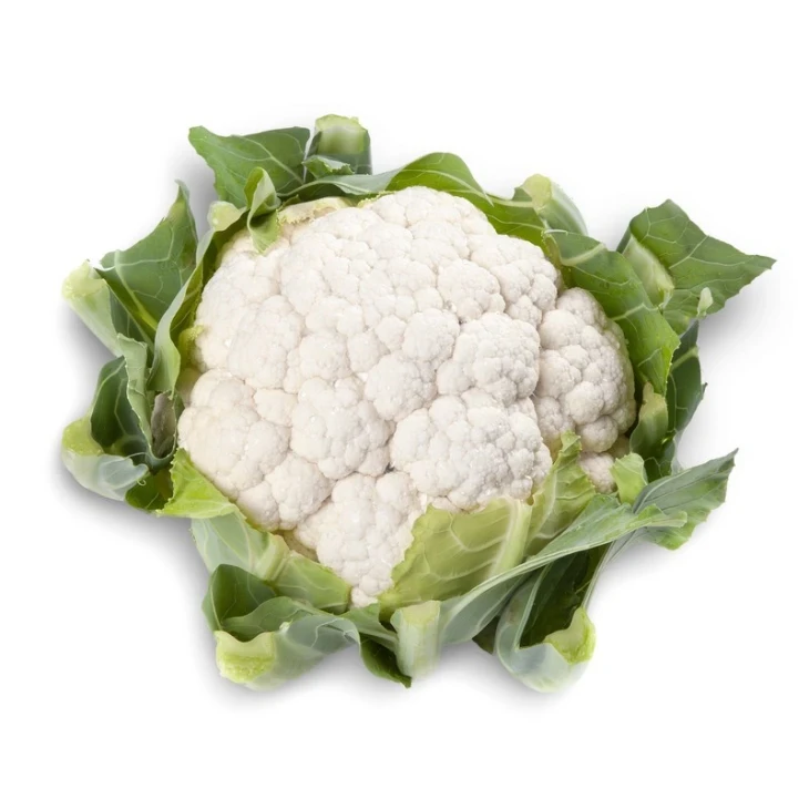 Белькур F1 / Belcourt F1,70-85 дней фото 2