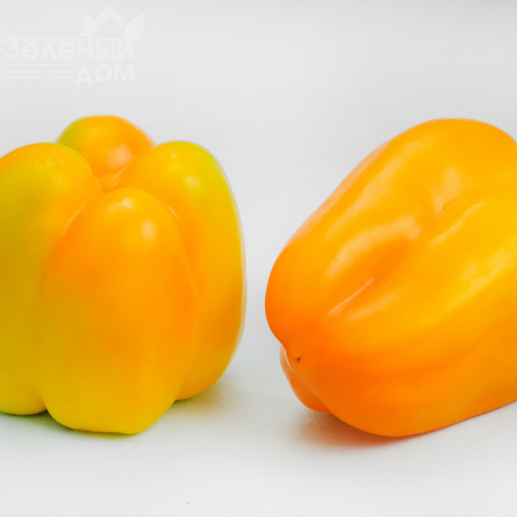 Турмалін F1 / Turmalin F1,70-75 днів фото 1