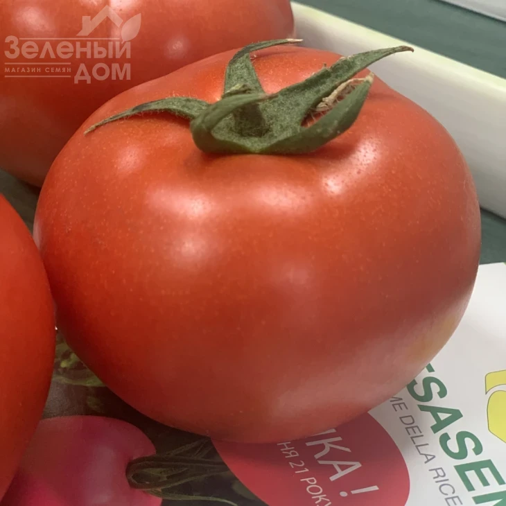 Адриатика F1 / Adriatika F1, 60-65 дней фото 1