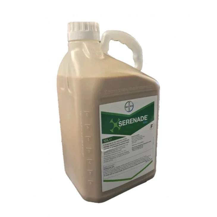 Серенада АСО / Serenade ASO фото 1